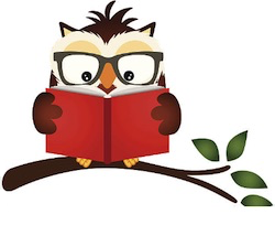 Grammar Owl